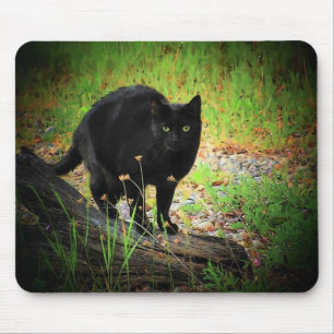 Zwart op de groene Gebogen Zwarte Kat Muismat
