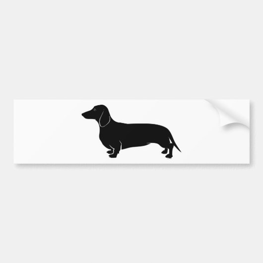 Zwart op White Dachsund Bumpersticker (Voorkant)