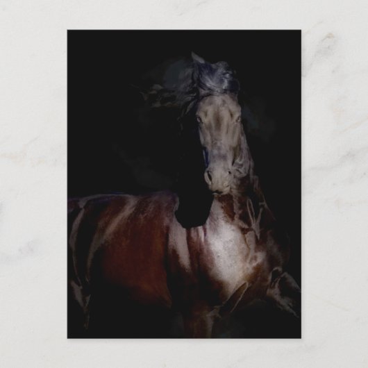 Zwart op zwart briefkaart (Voorkant)