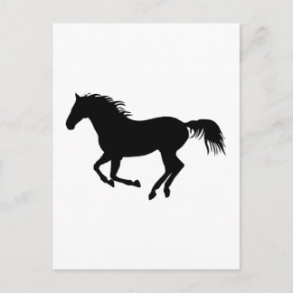 Zwart paard 1 briefkaart