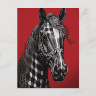 zwart paard briefkaart