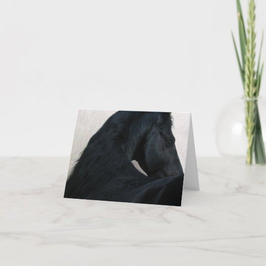 Zwart Paard - Friesian Kaart van de Nota (Voorkant)