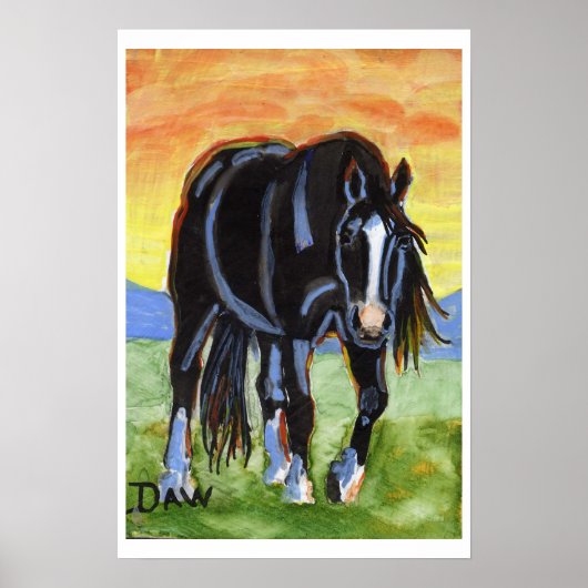 Zwart paard in de zon poster (Voorkant)