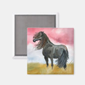Zwart paard in Field Magnet (Voorkant / Achterkant)