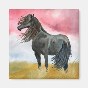 Zwart paard in Field Magnet