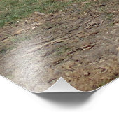 Zwart paard in het gras foto afdruk (Hoek)