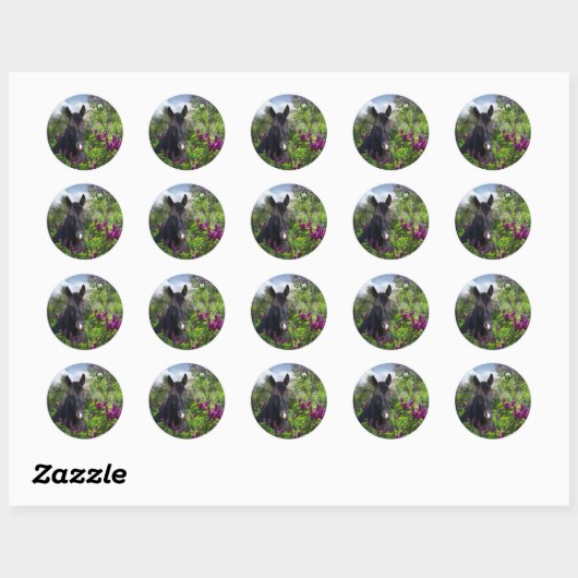 Zwart paard in lilacs ronde sticker (Vel)