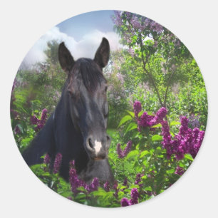 Zwart paard in lilacs ronde sticker