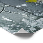 Zwart Paard in Wildbloemen Poster (Hoek)