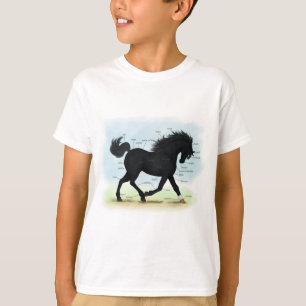 Zwart paard met ster- en Sockanatomigram T-shirt