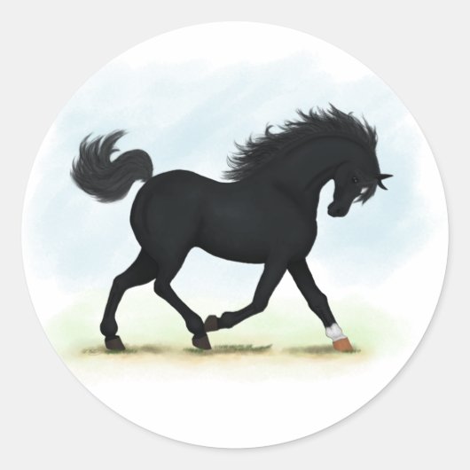 Zwart paard met ster en sok (zwarte schoonheid) ronde sticker (Voorkant)