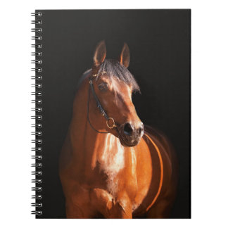 zwart paard notitieboek