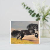 zwart paard op woestijn briefkaart (Staand voorkant)