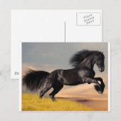 zwart paard op woestijn briefkaart (Voorkant / Achterkant)
