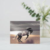 Zwart Paard Sandy Beach Ocean Postcrossing Briefkaart (Staand voorkant)