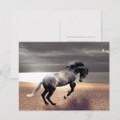 Zwart Paard Sandy Beach Ocean Postcrossing Briefkaart (Voorkant / Achterkant)