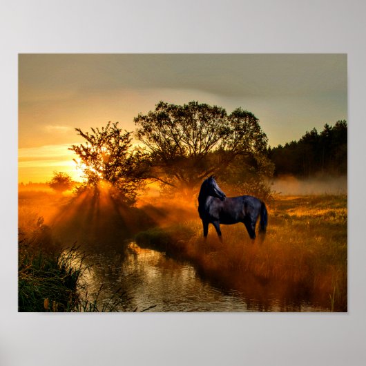 Zwart paard tegen zonsopgang of zonsondergang poster (Voorkant)