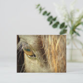 Zwart Paarden Oog Briefkaart (Staand voorkant)