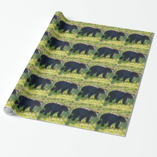 Zwart pakpapier met papa beer (Uitgerold)