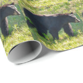 Zwart pakpapier met papa beer (Rol Hoek)