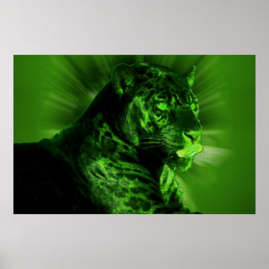 Zwart panter op groen poster (Voorkant)