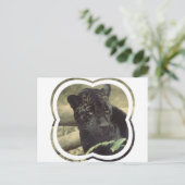 Zwart pantherBriefkaart Briefkaart (Staand voorkant)