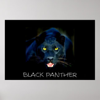 Zwart pantherPoster Poster