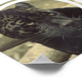 Zwart pantherPoster Poster (Hoek)