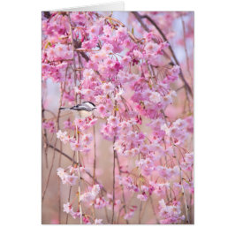 Zwart Pet Chickadee & Roze Weeping Willow