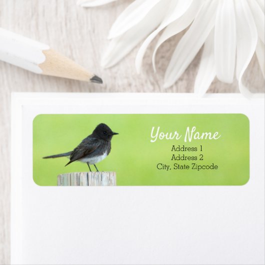 Zwart Phoebe Vogel Adreslabel Etiket (Insitu)