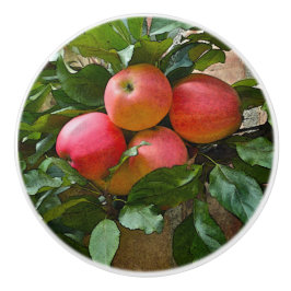 "ZWART PINK APPLES" CERAMIC KNOB KERAMISCHE KNOP
