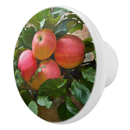 "ZWART PINK APPLES" CERAMIC KNOB KERAMISCHE KNOP