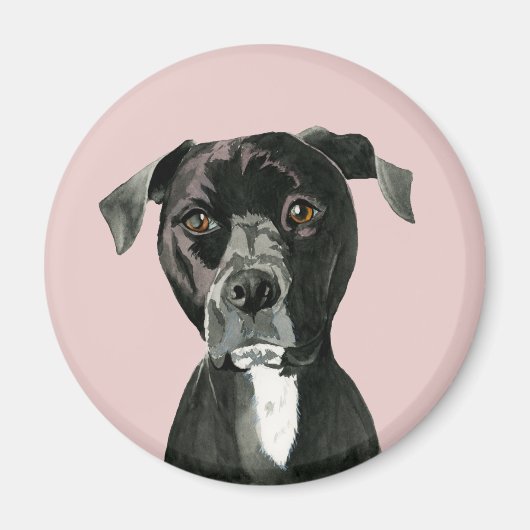 Zwart Pit Bull Hondenportret Magneet (Voorkant)
