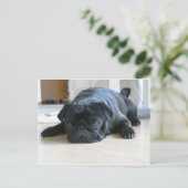 zwart plat briefkaart (Staand voorkant)