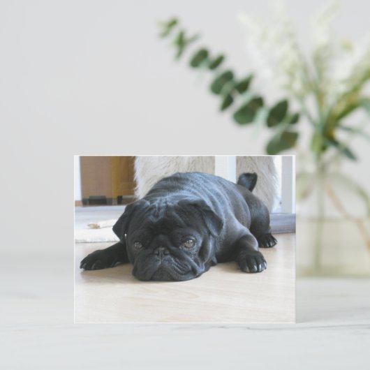 zwart plat briefkaart (Staand voorkant)