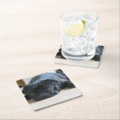 zwart plat kartonnen onderzetters (Insitu)