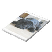 zwart plat notitieblok (Linkerzijde)