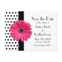 Zwart Polka Dots Roze Daisy Bruiloft Save the Date