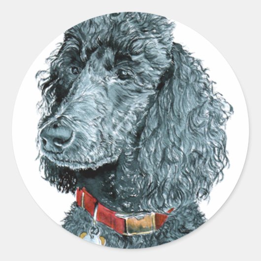 Zwart Poodle Whitney Stickers (Voorkant)