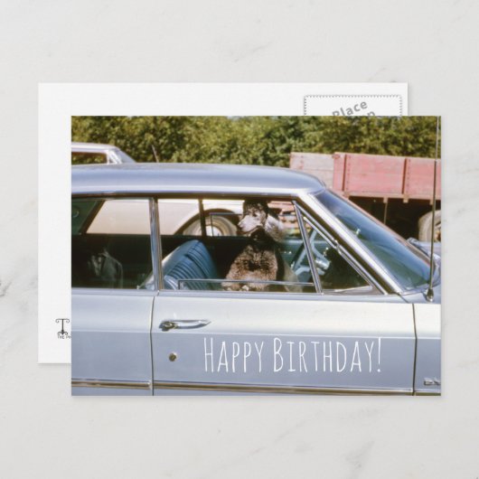 Zwart pop-upvenster Schuif omhoog Briefkaart (Voorkant / Achterkant)