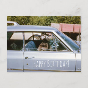 Zwart pop-upvenster Schuif omhoog Briefkaart