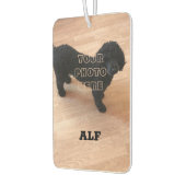 Zwart porselein luchtverfrisser (Links)