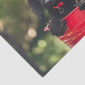 Zwart portret in een rode emmer tissuepapier (Detail)