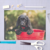 Zwart portret in een rode emmer tissuepapier (Craft)