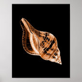 Zwart poster van de waterverf van de schelpdierkus (Voorkant)