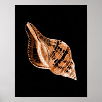 Zwart poster van de waterverf van de schelpdierkus