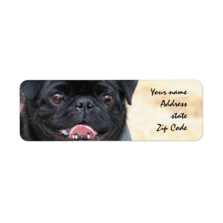 Zwart Pug Adresetiketten Etiket