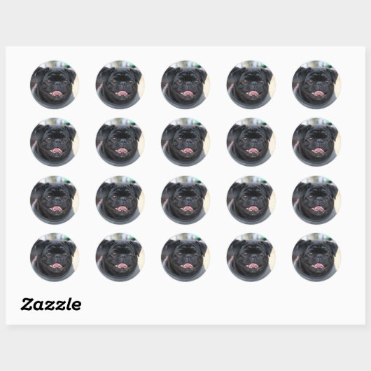 Zwart Pug Dog stickers (Vel)