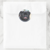 Zwart Pug Dog stickers (Tas)
