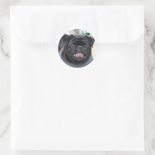 Zwart Pug Dog stickers (Tas)